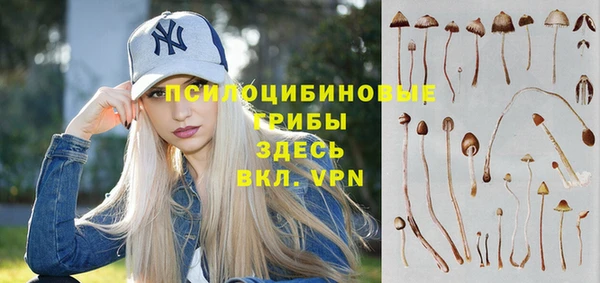 эйфоретик Белоозёрский