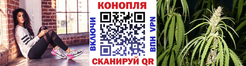 где купить Бодайбо Шишки марихуана THC 21%